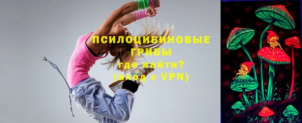 твердый Алексеевка