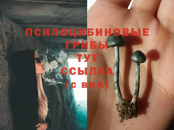 амф Алексин