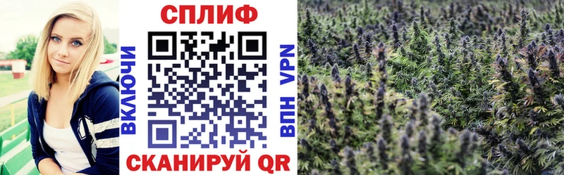 Каннабис AK-47 Орёл